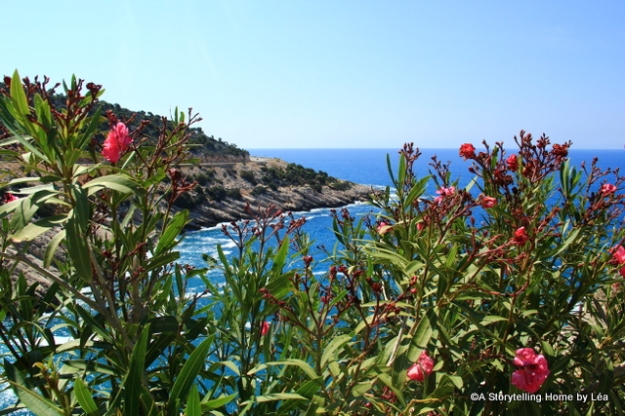 Lycian coast view_Turkey
